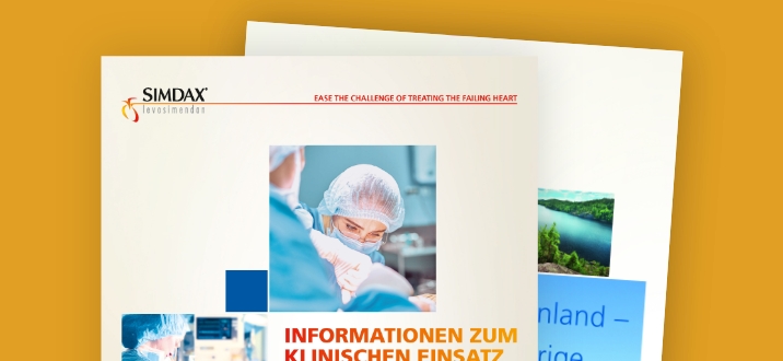 SIMDAX – Informationsbroschüre