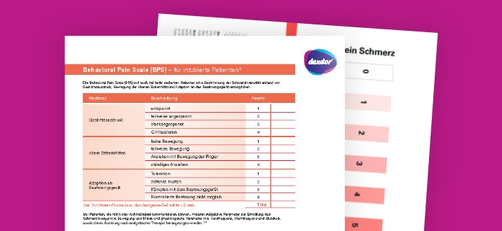 Bogen zur Schmerzerfassung